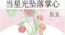 当星光坠落掌心