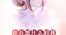 存在感什么的我才不需要