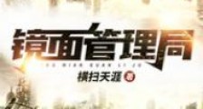 镜面管理局