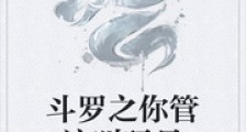 斗罗之你管这叫玩具
