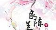 良陈美锦