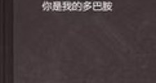 献给我的多巴胺