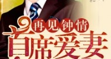再见钟情,首席爱妻百分百