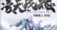 凌天战魂