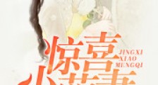 惊喜小萌妻