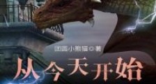 从今天开始捡属性