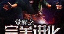 觉醒之完美进化