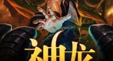 神龙是怎么养成的