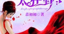首席老公,太狂野!