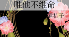 唯他不维命