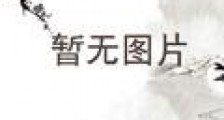 日娱之恋上你