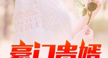 豪门贵婿