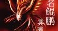 吾名鲲鹏