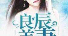 良辰美妻