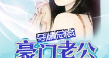 夺情总裁:豪门老公不及格