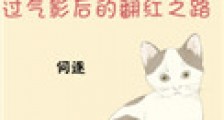 过气影后的翻红之路