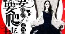 夜帝太放肆:新妻,要爬墙!
