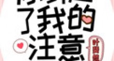 你引起了我的注意