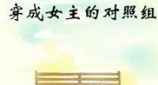 穿成女主的对照组