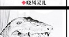 鳄鱼先生