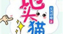 地头猫