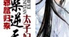 邪凰归来:废柴逆天太子妃