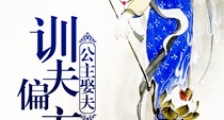 公主娶夫之训夫偏方