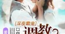 深夜霸宠:调教小娇妻