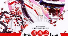 重生之誓不为妃