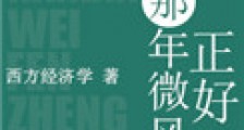 那年微风正好