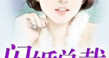 闪婚总裁很惧内