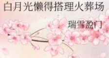 白月光懒得搭理火葬场
