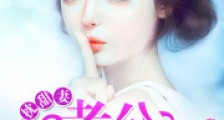 蜜枕甜妻:老公,请轻亲!