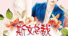 斯文总裁霸宠刺猬女郎