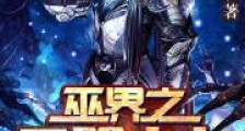 巫界之无限火力