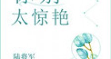 你别太惊艳
