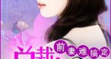 前妻难搞定:总裁,别追了