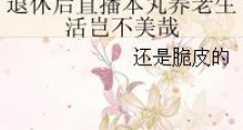 退休后直播本丸养老生活岂不美哉