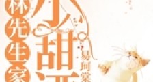 林先生家的小甜酒