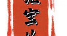 元宝儿