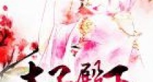 倾城绝宠:太子殿下太撩人