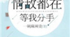 情敌都在等我分手