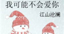 我可能不会爱你