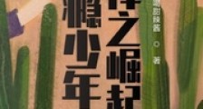 网瘾少年刘禅之崛起