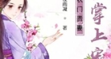 农门贵妻相公掌上宠