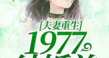 夫妻重生1977结婚前