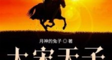 大宋天子之从征服水浒开始
