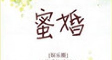 蜜婚(作者:最爱梅子酒)