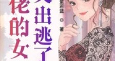 大佬的女人又出逃了