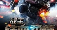 战王:铁血柔情